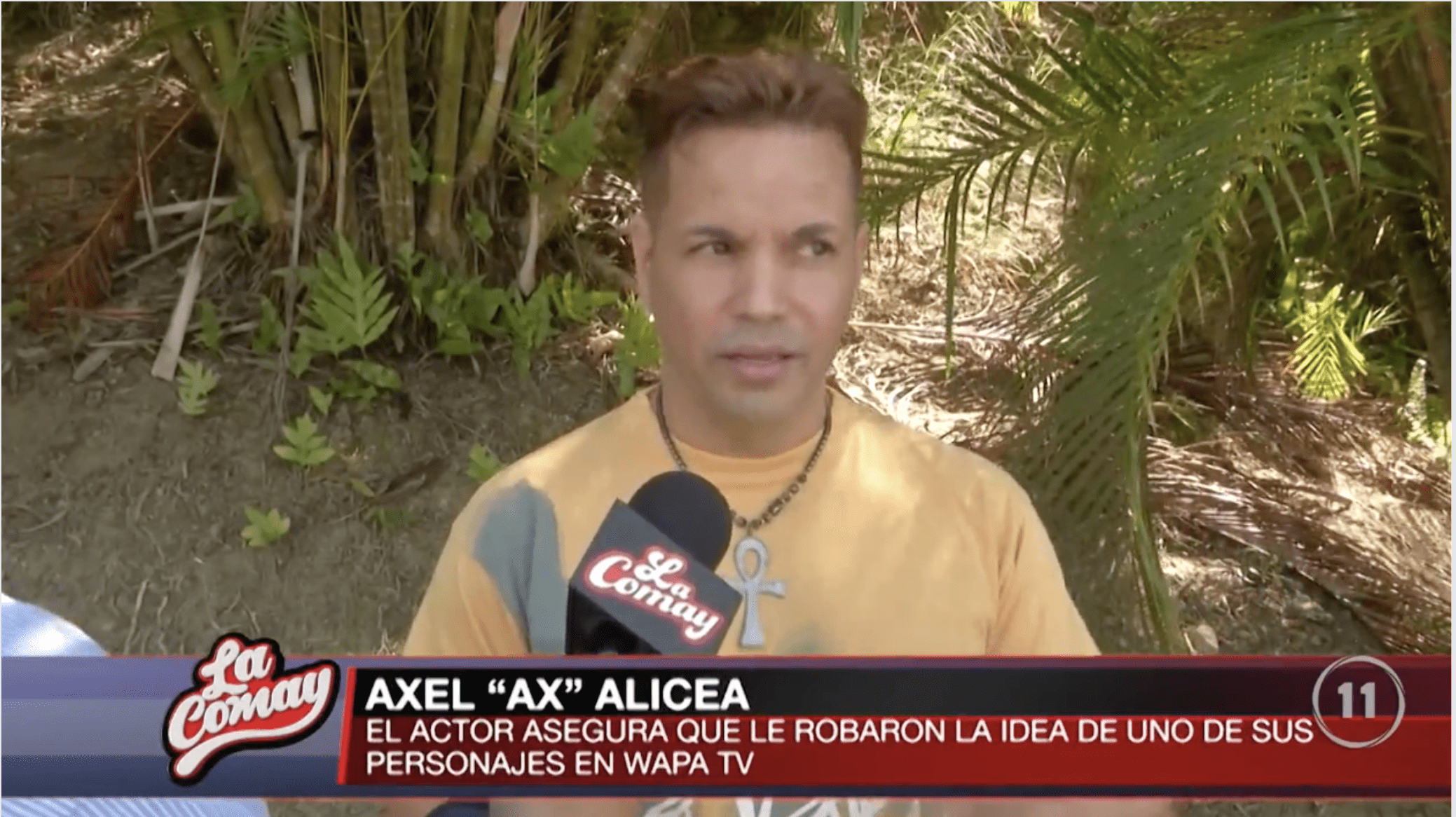 Axel Rafael Rosa Alicea Axel