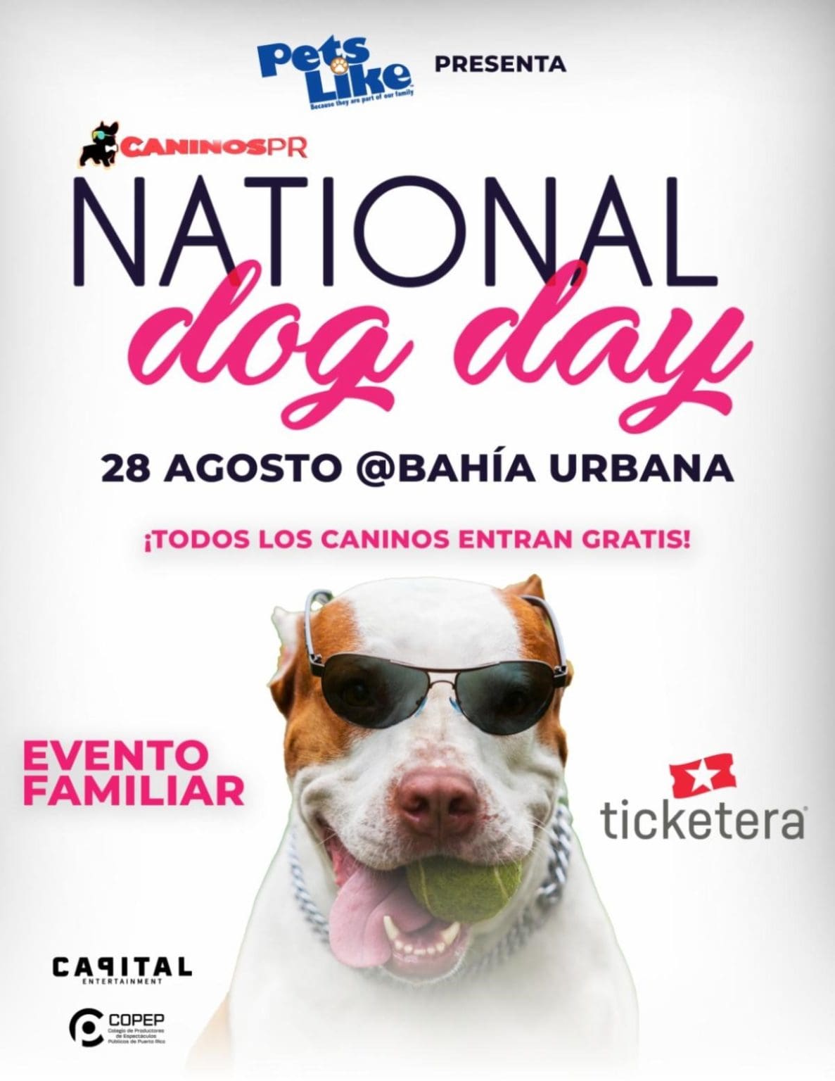 Regresa el “National Dog Day” TeleOnce TV Vívelo