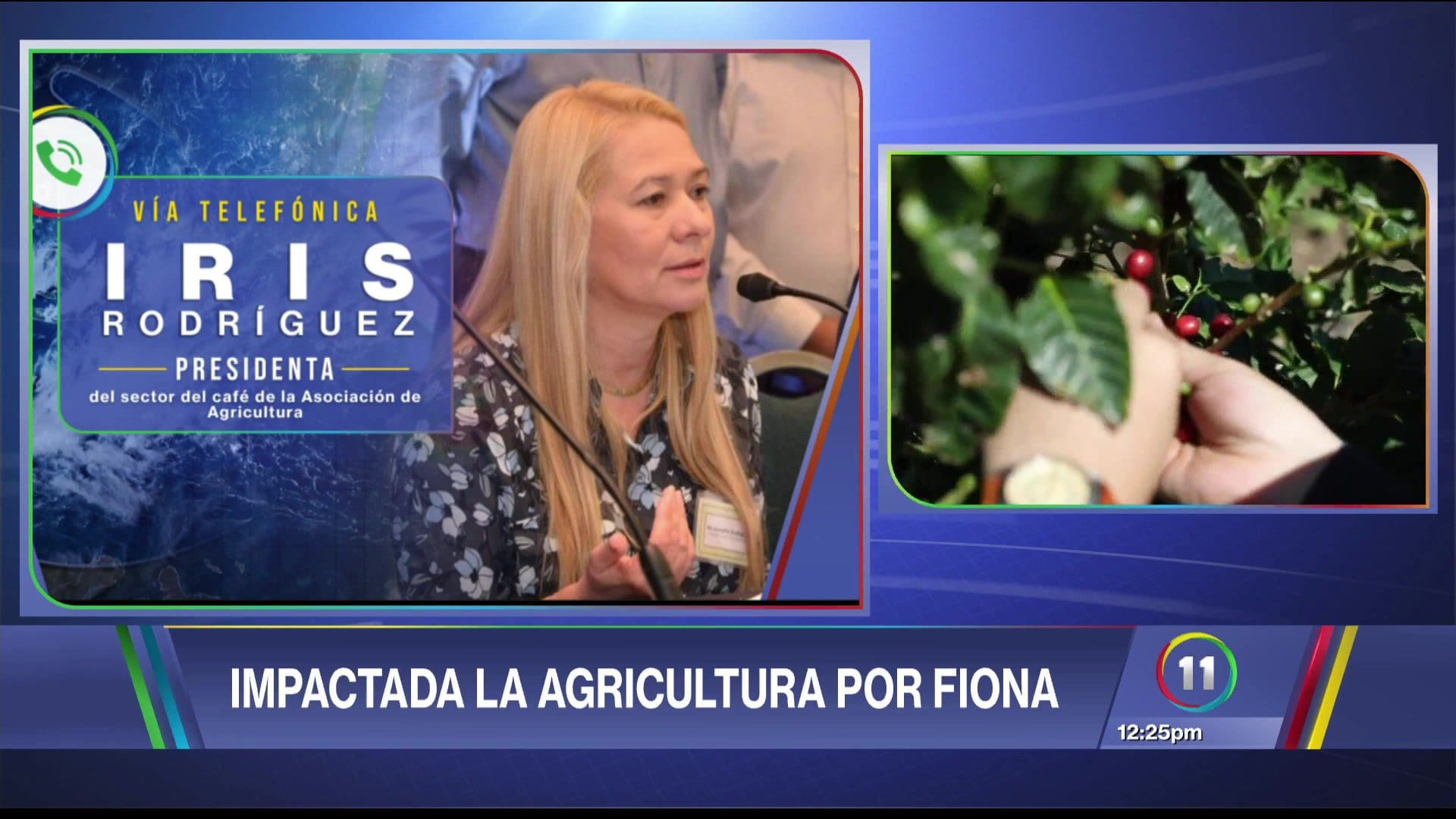 Fiona provoca daños en la industria del café - TeleOnce TV Vívelo