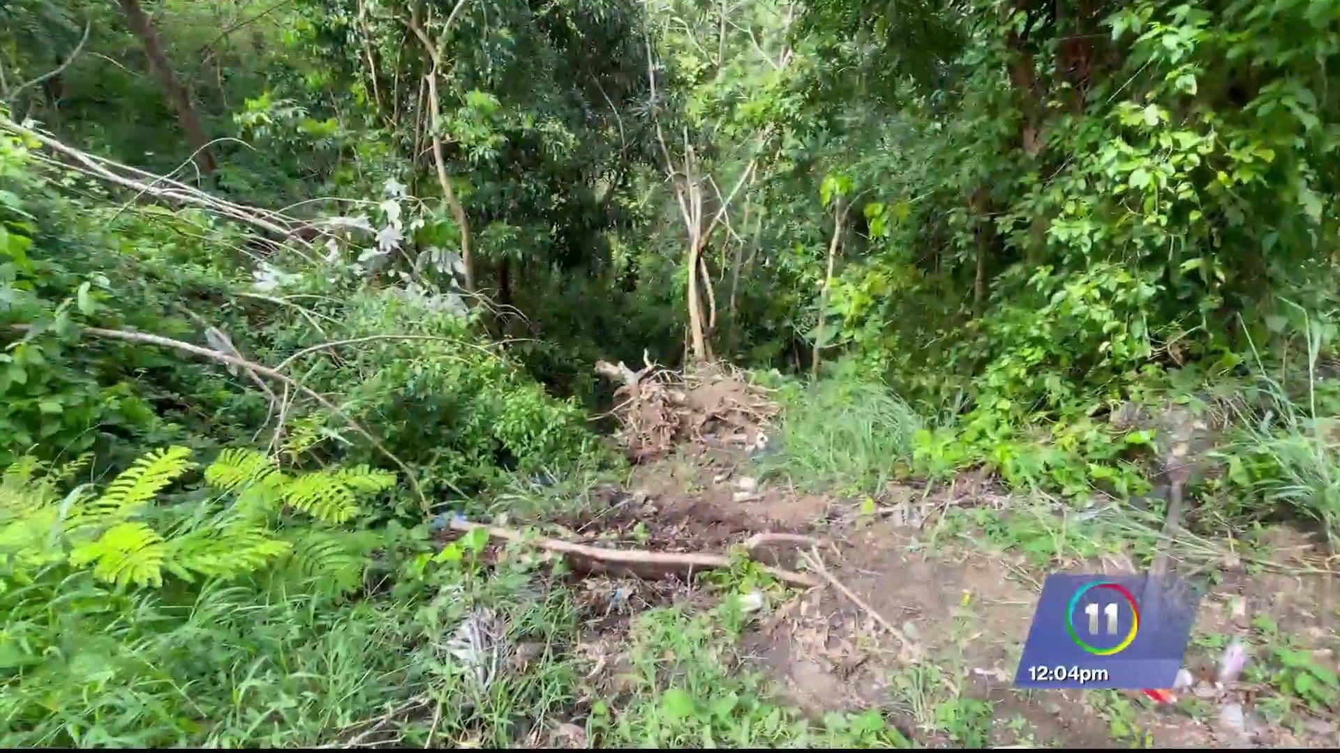 Octogenario Muere Al Caer Por Un Barranco - TeleOnce TV | Vívelo