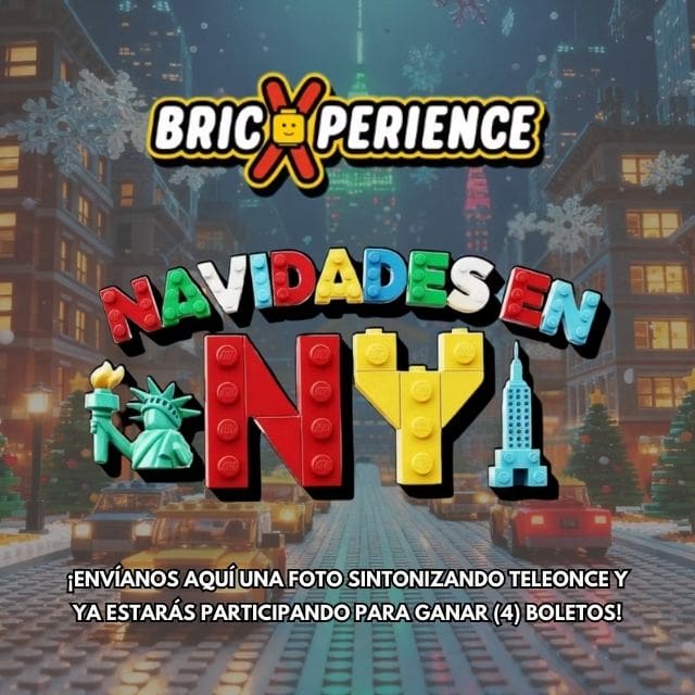 logo-experience-1