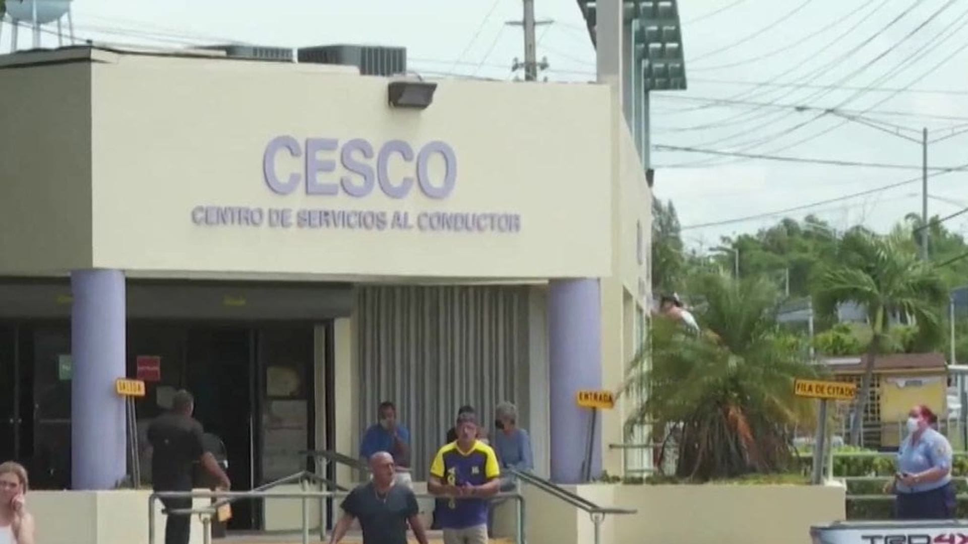 DTOP extiende vigencia de licencias y marbetes hasta el 30 de abril ...