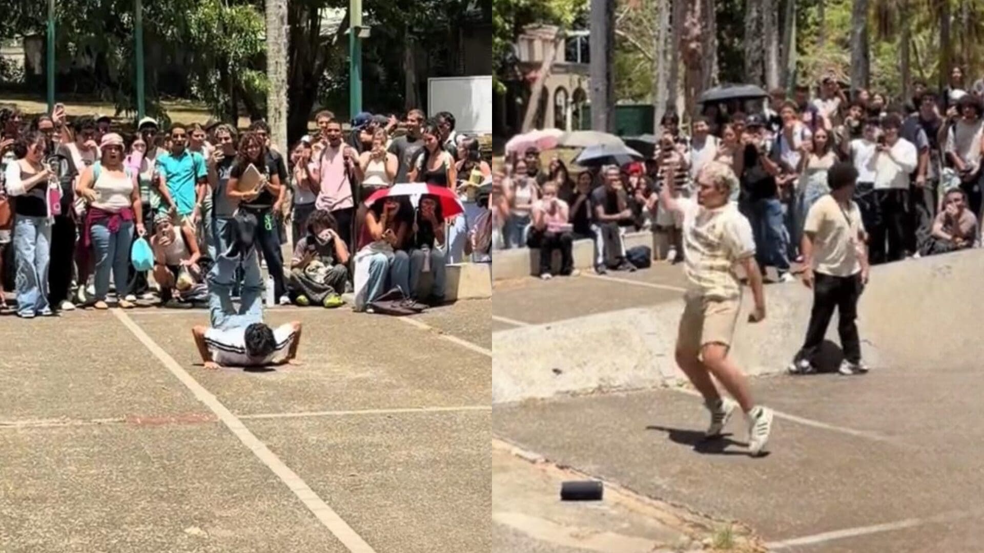 Imagen de la cobertura de: “Farmear aura” llega a las universidades de Puerto Rico y reúne a estudiantes en Río Piedras