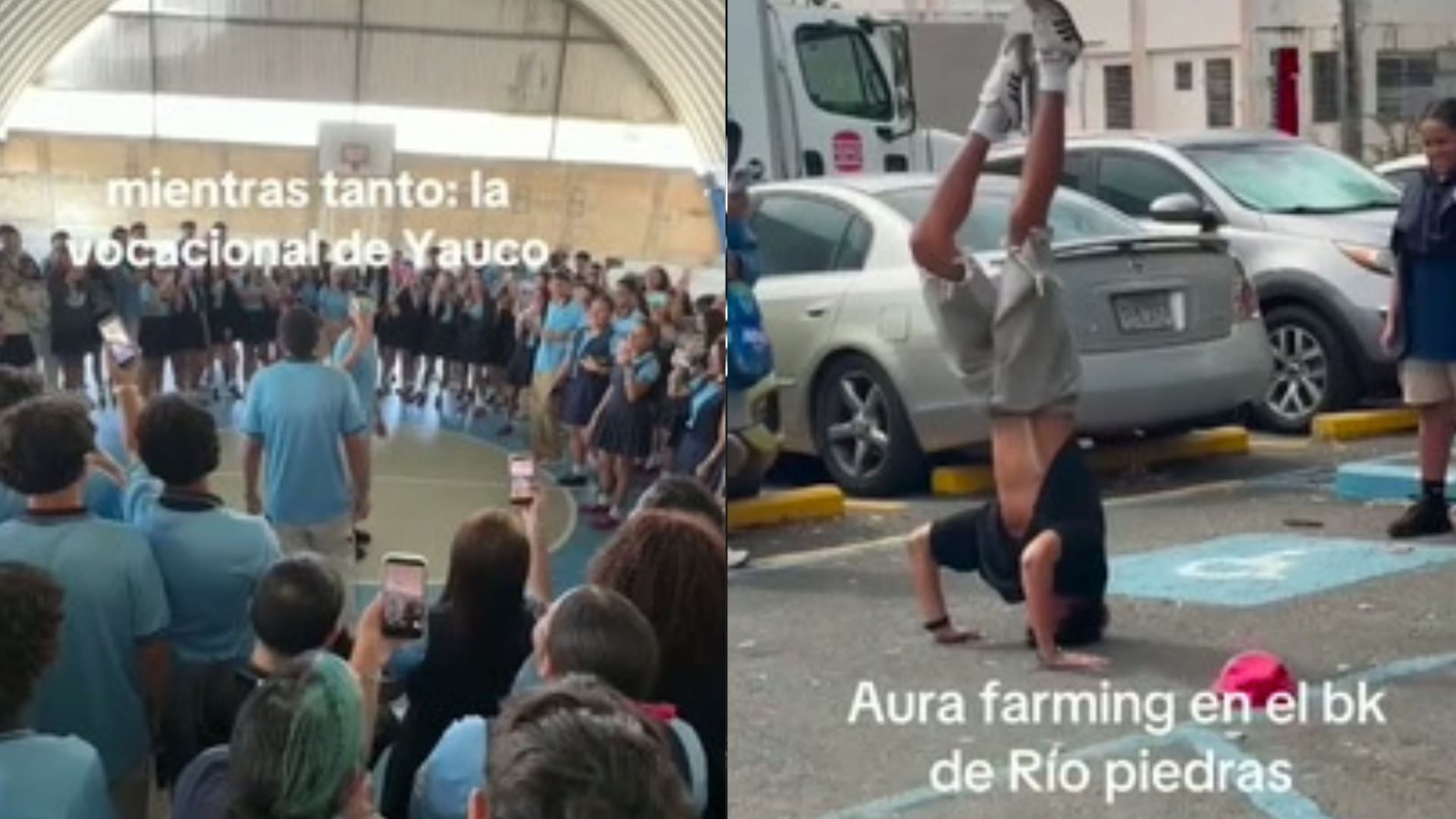 Imagen del artículo de Univision / TeleOnce: "Farmear aura": la nueva tendencia viral entre los jóvenes en Puerto Rico