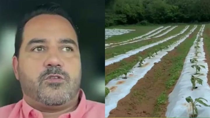 Imagen del artículo de Univision / TeleOnce: Agricultores podrán acceder a préstamos y ayudas federales para mitigar impacto de la sequía