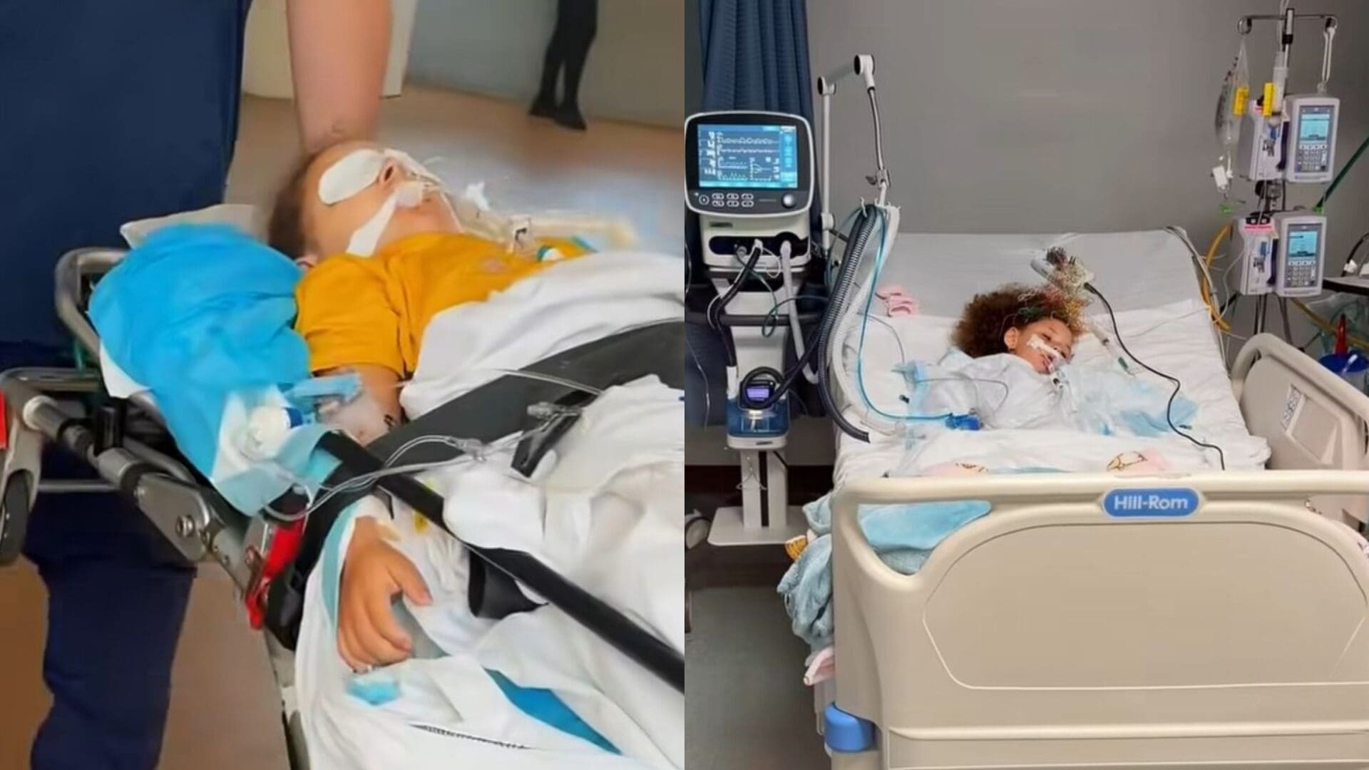 Imagen de la cobertura de: Familia de Khaleesi espera atención médica especializada tras quedar paralizada