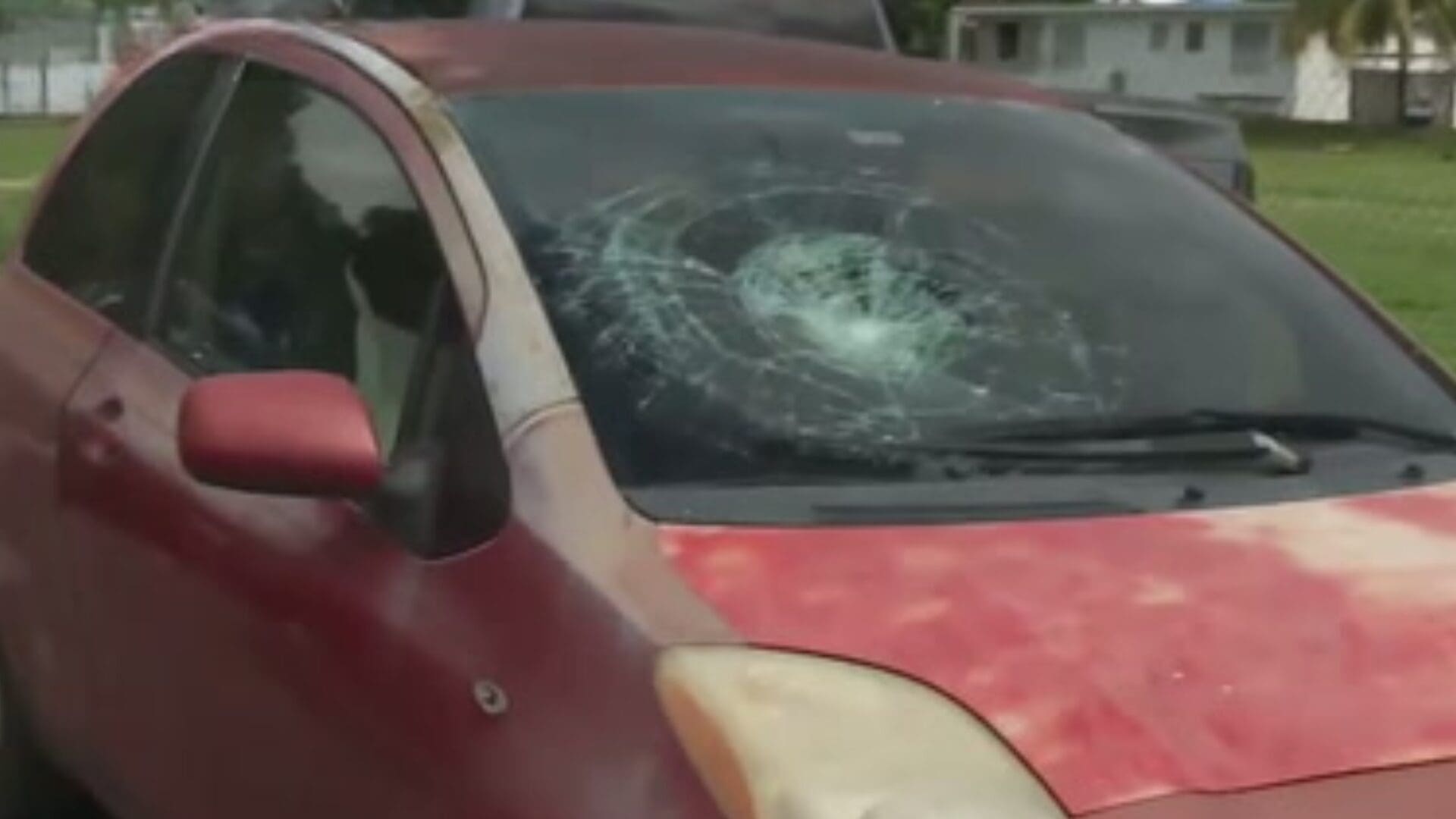 Imagen del artículo de Univision / TeleOnce: Octogenario fallece tras ser atropellado frente a un centro comercial en Aguada