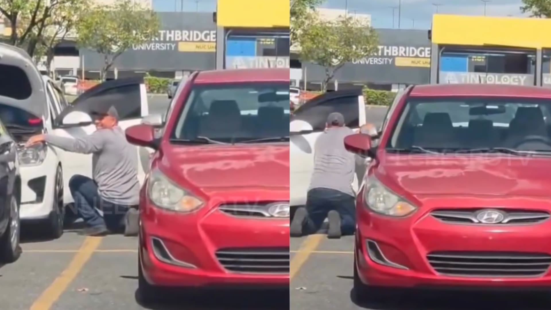 Imagen de la cobertura de: Presentan cargos en casos de Canóvanas y Bayamón por choque fatal y hurto de retrovisor