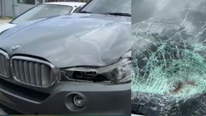 Imagen del artículo de Univision / TeleOnce: Sexaganerio muere tras ser arrollado por un agente de la Policía en Ceiba