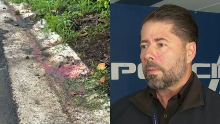 Imagen del artículo de Univision / TeleOnce: Cuatro cuerpos amordazados en Trujillo Alto: Investigan posible vínculo con organizaciones criminales