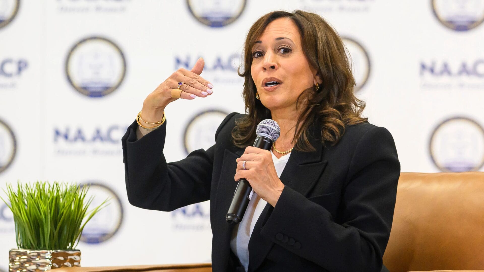 Imagen de la cobertura de: Kamala Harris cierra campaña en estados clave mientras sigue abierta su ruta para 2028