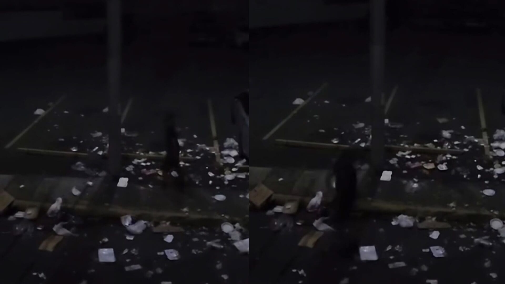 Imagen de la cobertura de: Arrestan a sujeto señalado por varios actos de vandalismo en Cidra