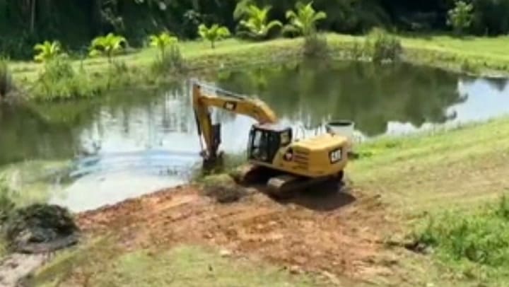 Imagen del artículo de Univision / TeleOnce: “Me encuentro a la persona flotando”: reconocido contratista muere en laguna de Moca