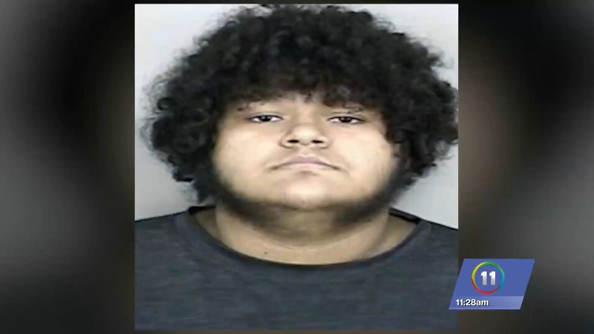 Imagen de la cobertura de: Juez determina que adolescente imputado por asesinato de su abuela no es procesable